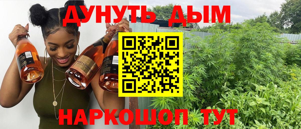 Бошки Шишки LSD WEED  Марихуана SATIVA & INDICA  Канабис план  Бошки Шишки марихуана  Коммунар  Вход с VPN 